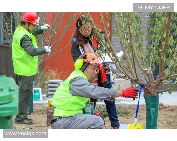 北京足球队的比赛经验分享与成长之路探讨